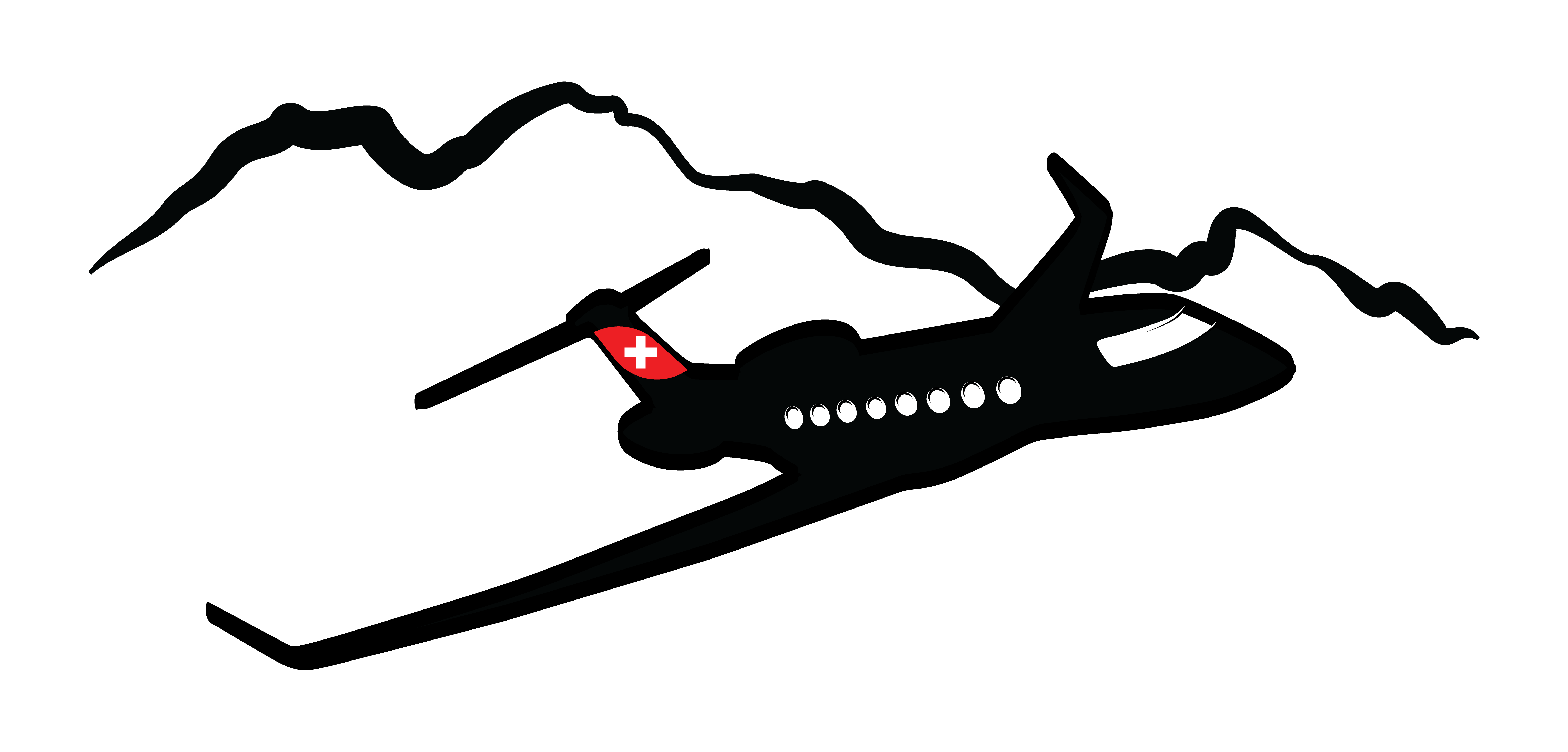 STM Aircraft - SwissAviatrix